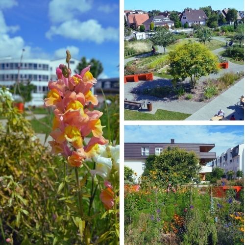 le jardin de la maison bethel